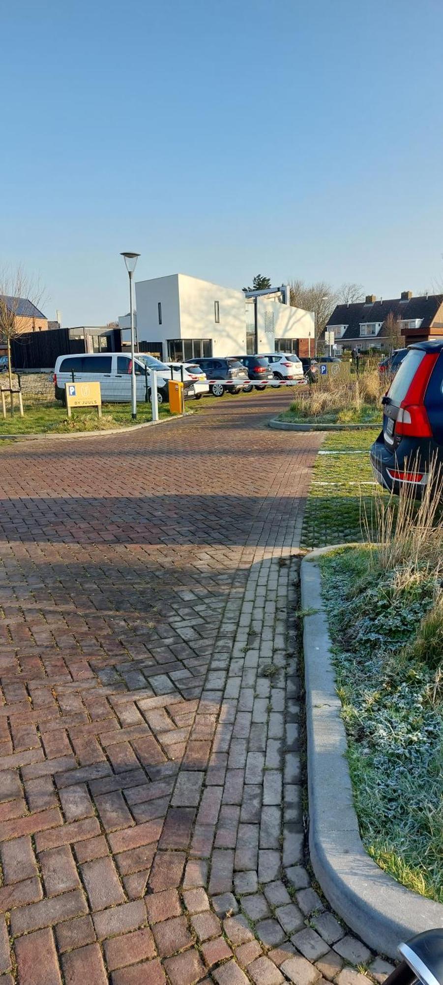 Villa Wijngaardstraat 7A Dombourg Extérieur photo